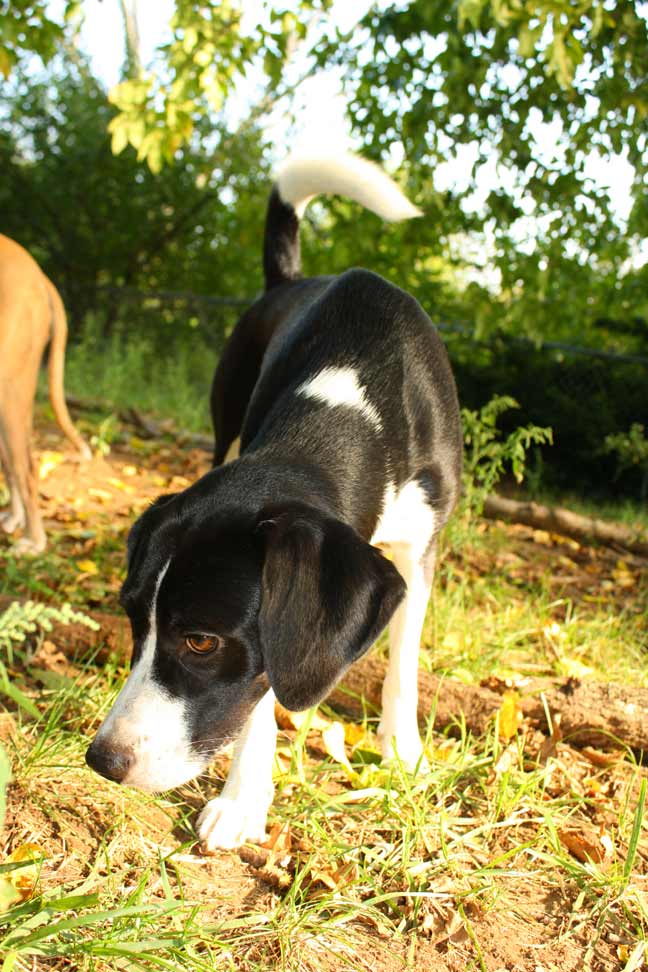 IMG_0028.small.web IMG_0028.small.web