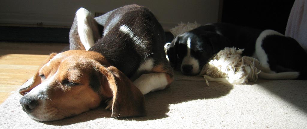 IMG_1654.web IMG_1654.web