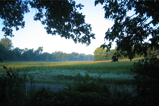 IMG_4499.3x2.web IMG_4499.3x2.web