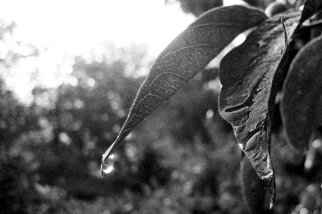 IMG_4754.3x2.web IMG_4754.3x2.web