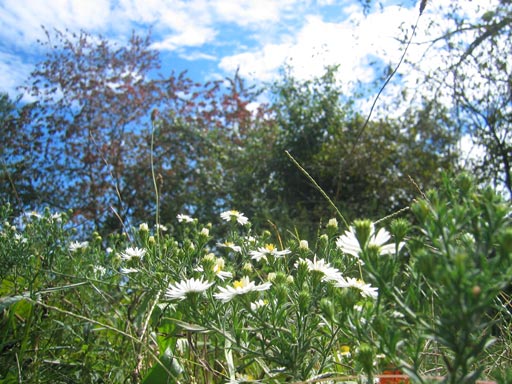 IMG_4994.4x3.web IMG_4994.4x3.web